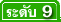นักแนะแนวการศึกษาและอาชีพ ระดับ 9